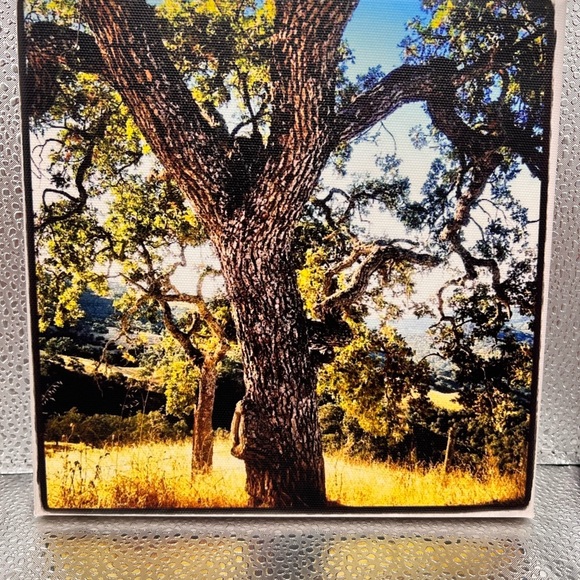 These canvas prints are so special! 8 x 8 and size great for gifting! - Picture 2 of 15